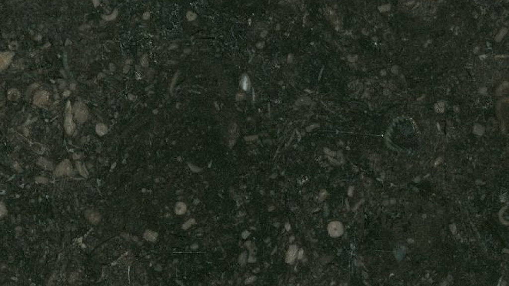 Belgisch (Granit) Kalkstein kaufen