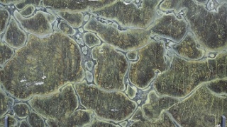 Bild von Vito Grün Granit