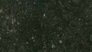 Bild von Belgisch (Granit) Kalkstein Marmor