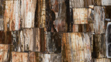 Bild von 8331 Petrified Wood Classic Caesarstone