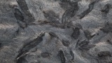 Bild von Anden Phyllit/Matrix GIS Granit